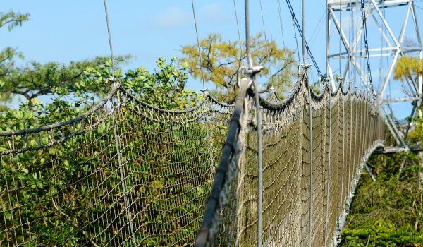 Lekki_Conservation_Center,_Canopy_walk Lekki_Conservation_Center,_Canopy_walk